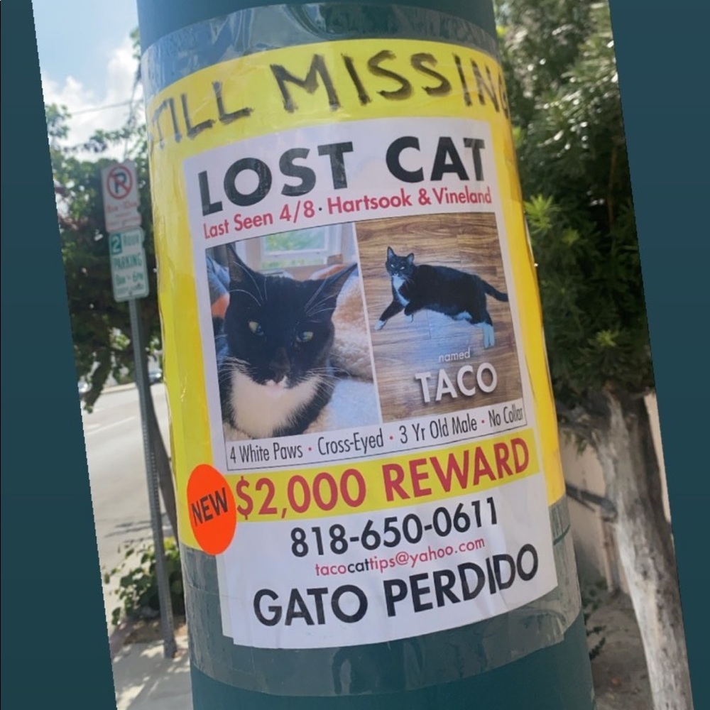 Meet your Posher, Trashana